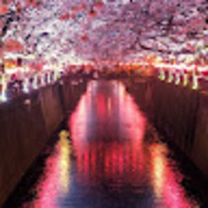 Meet your Posher, Jenn